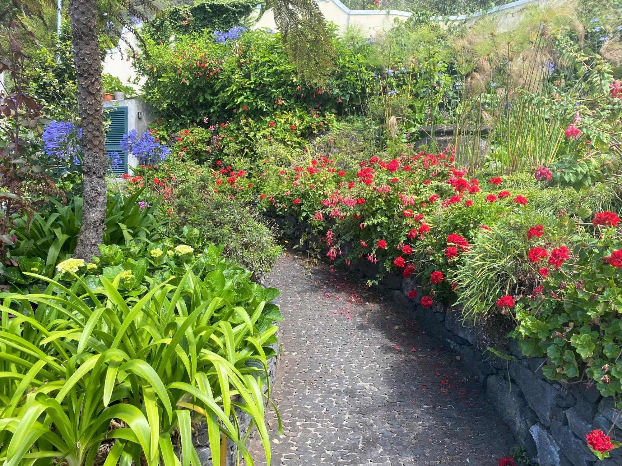 Quinta Das Hortensias Arco de São Jorge Esterno foto